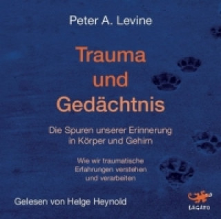 Audio Trauma und Gedächtnis, 1 MP3-CD Peter A. Levine