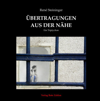 Kniha Übertragungen aus der Nähe René Steininger
