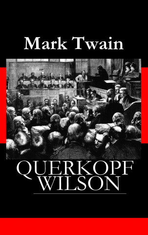 Buch Querkopf Wilson Mark Twain