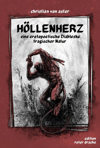 Könyv Höllenherz Christian von Aster