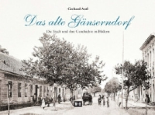 Kniha Das alte Gänserndorf Gerhard Antl