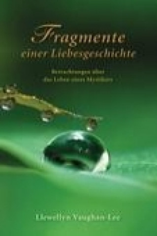 Book Fragmente einer Liebesgeschichte Llewellyn Vanghan-Lee