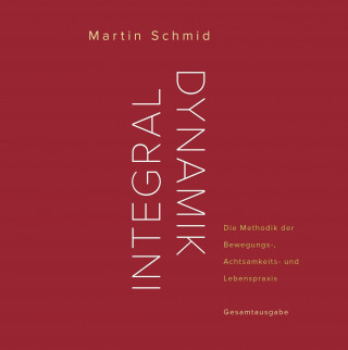 Könyv Integraldynamik Martin Schmid