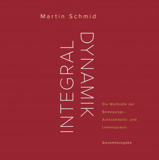 Libro Integraldynamik Martin Schmid