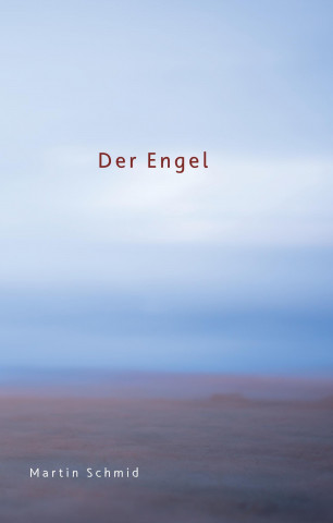 Buch Der Engel Martin Schmid