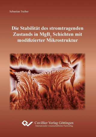 Könyv Die Stabilität des stromtragenden Zustands in MgB2 Schichten mit modifizierter Mikrostruktur Sebastian Treiber