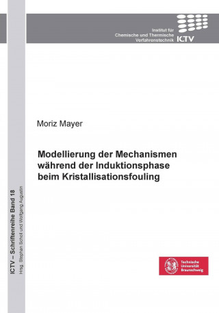 Libro Modellierung der Mechanismen während der Induktionsphase beim Kristallisationsfouling (Band 18) Moriz Mayer