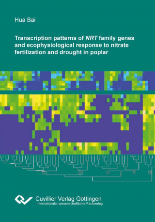 Kniha Transcription patterns of NRT family genes and ecophysiological response to nitrate fertilization and drought in poplar Hua Bai