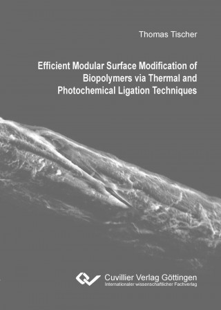 Könyv Efficient Modular Surface Modification of Biopolymers via Thermal and Photochemical Ligation Techniques Thomas Tischer