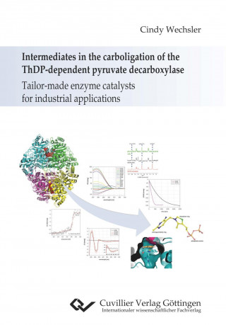 Buch Intermediates in the carboligation of the ThDP-dependent pyruvate decarboxylase. Tailor-made enzyme catalysts for industrial applications Cindy Wechsler