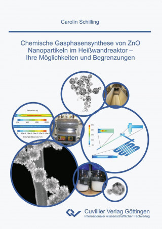 Książka Chemische Gasphasensynthese von ZnO Nanopartikeln im Heißwandreaktor. Ihre Möglichkeiten und Begrenzungen Carolin Schilling