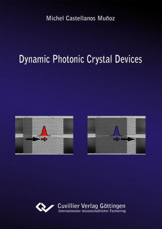 Książka Dynamic Photonic Crystal Devices Michel Castellanos Mu?oz