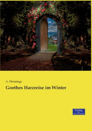 Book Goethes Harzreise im Winter A. Pfennings