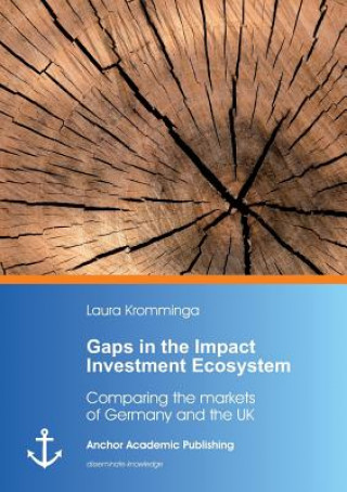 Carte Gaps in the Impact Investment Ecosystem Laura Kromminga