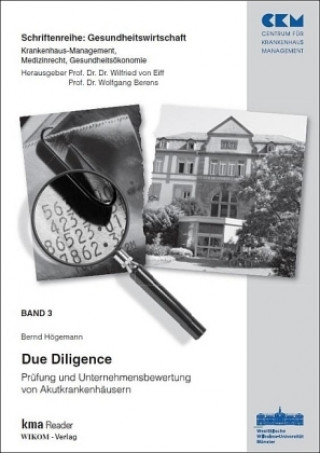 Kniha Due Diligence Bernd Högemann