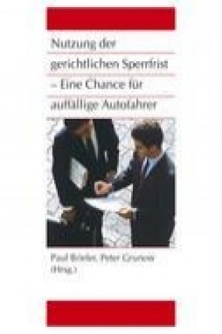 Book Nutzung der gerichtlichen Sperrfrist - Eine Chance für auffällige Autofahrer Paul Brieler