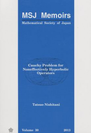 Książka Cauchy Problem For Noneffectively Hyperbolic Operators Tatsuo Nishitani