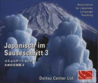 Audio Japanisch im Sauseschritt. 4 CDs zu 3A und 3B. Standardausgabe 