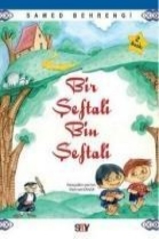 Knjiga Bir Seftali Bin Seftali Samed Behrengi
