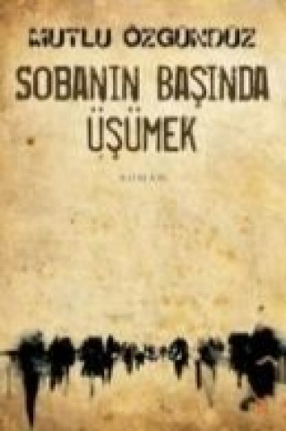 Knjiga Sobanin Basinda Üsümek Mutlu Özgündüz