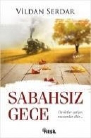 Buch Sabahsiz Gece Vildan Serdaroglu