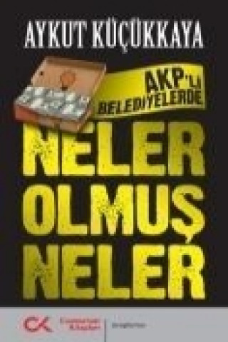 Buch Akpli Belediyelerde Neler Olmus Aykut Kücükkaya