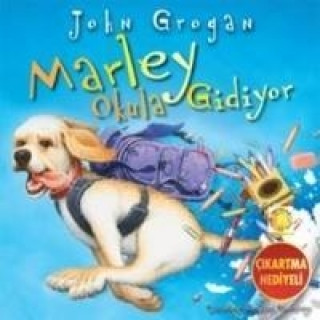 Kniha Marley Okula Gidiyor John Grogan