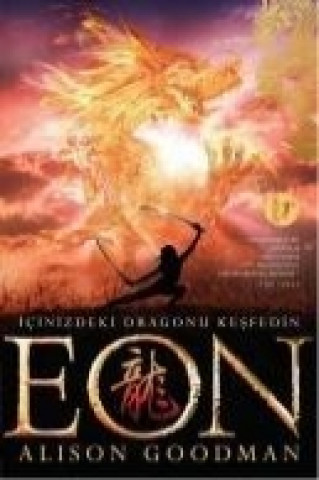 Buch Eon Alison Goodman