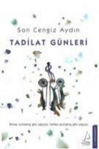 Kniha Tadilat Günleri Son Cengiz Aydin