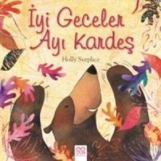 Libro Iyi Geceler Ayi Kardes Holly Surplice