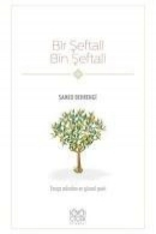 Kniha Bir Seftali Bin Seftali Samed Behrengi