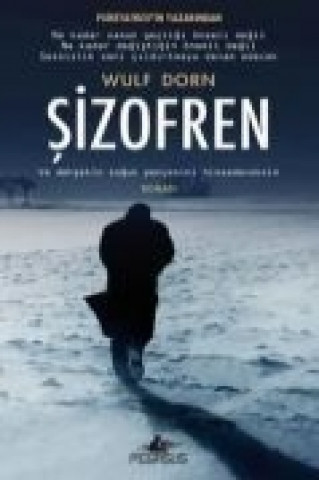 Buch Sizofren Wulf Dorn