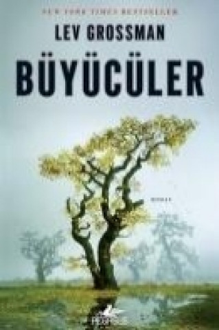 Buch Büyücüler Lev Grossman