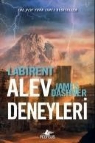 Книга Labirent James Dashner