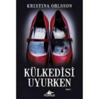 Buch Külkedisi Uyurken Kristina Ohlsson