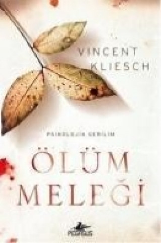 Kniha Ölüm Melegi Vincent Kliesch