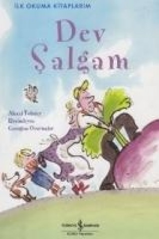 Knjiga Dev Salgam Aleksey Nikolayevic Tolstoy