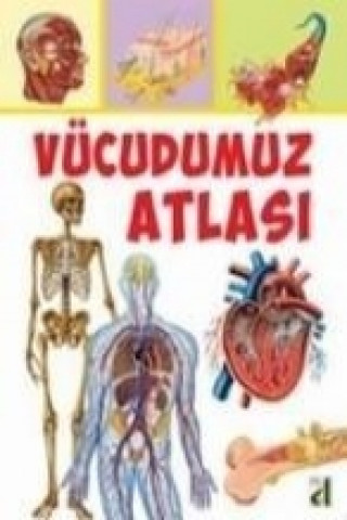 Book Vücudumuz Atlasi Vincenzo Guidi