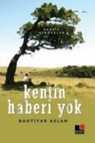 Kniha Kentin Haberi Yok - Sessiz Hikayeler Bahtiyar Aslan