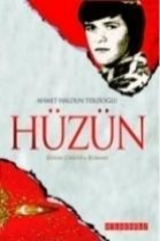 Buch Hüzün Ahmet Haldun Terzioglu