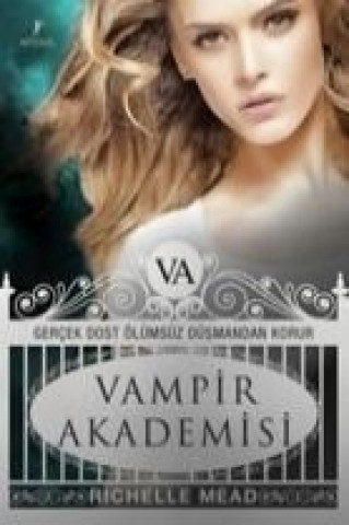 Knjiga Vampir Akademisi Richelle Mead