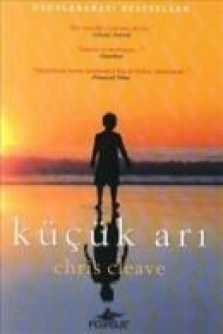 Book Kücük Ari Chris Cleave