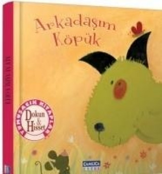 Knjiga Arkadasim Köpük Kolektif