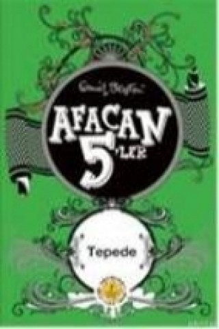 Livre Afacan 5ler Tepede Enid Blayton