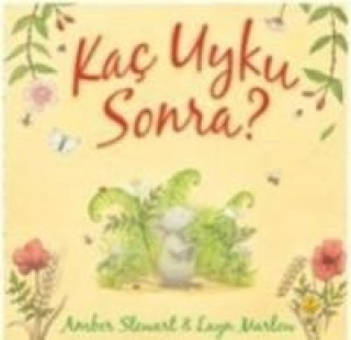 Buch Kac Uyku Sonra Amber Stewart