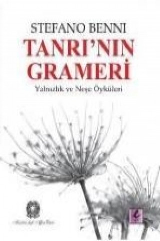 Buch Tanrinin Grameri; Yalnizlik ve Nese Öyküleri Stefano Benni