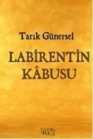 Knjiga Labirentin Kabusu Tarik Günersel