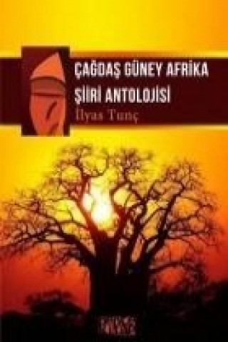 Carte Cagdas Güney Afrika Siiri Antolojisi ilyas Tunc
