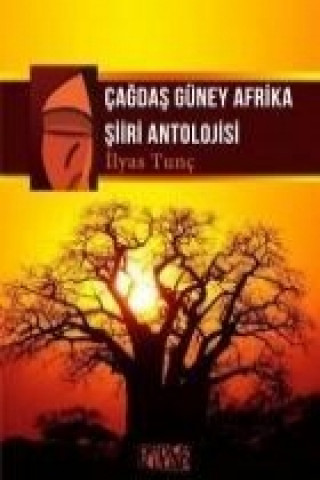 Book Cagdas Güney Afrika Siiri Antolojisi ilyas Tunc