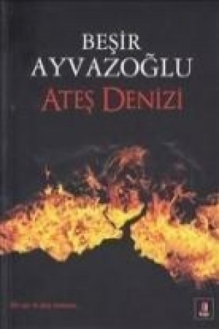 Knjiga Ates Denizi Besir Ayvazoglu